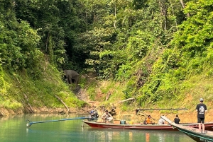 Z Phuket 2-dniowa wycieczka z przewodnikiem po jeziorze Cheow Lan z atrakcjami