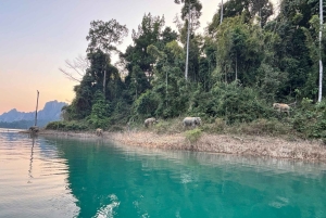 Z Phuket 2-dniowa wycieczka z przewodnikiem po jeziorze Cheow Lan z atrakcjami