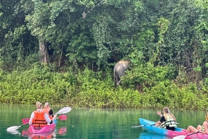 Z Phuket 2-dniowa wycieczka z przewodnikiem po jeziorze Cheow Lan z atrakcjami