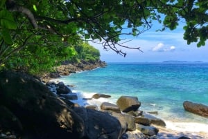 푸켓 출발: 코럴 아일랜드 프라이빗 롱테일 보트 투어