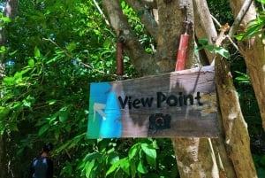 푸켓 출발: 코럴 아일랜드 프라이빗 롱테일 보트 투어