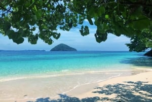 푸켓 출발: 코럴 아일랜드 프라이빗 롱테일 보트 투어