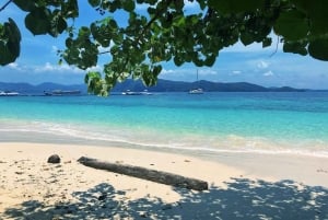 푸켓 출발: 코럴 아일랜드 프라이빗 롱테일 보트 투어