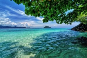 푸켓 출발: 코럴 아일랜드 프라이빗 롱테일 보트 투어