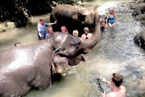 Phuketista: Elefanttien hoitokokemus koskenlaskulla ja Zipline-ajelulla