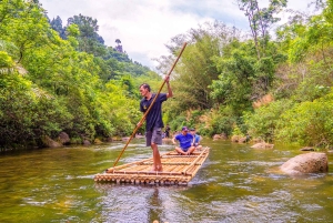 プーケット発：象とウミガメ保護プライベートツアーをご案内します