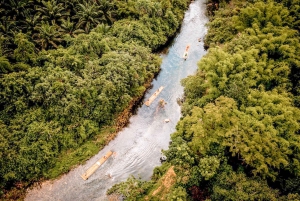 プーケット発：象とウミガメ保護プライベートツアーをご案内します