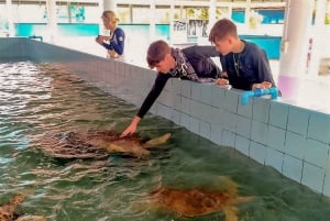 Phuket: Olifant & Zeeschildpadden Beschermings Tour met Rafting
