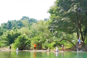 Phuket : Circuit de conservation des éléphants et des tortues de mer avec rafting