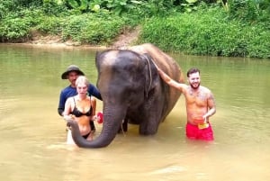 Phuket: Excursão de conservação de elefantes e tartarugas marinhas com rafting