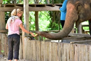 Phuket: Elefanttien ja merikilpikonnien suojelukierros koskenlaskun kanssa.