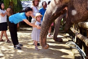 Phuket: Elefanttien ja merikilpikonnien suojelukierros koskenlaskun kanssa.