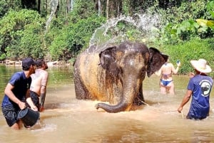 Phuket : Circuit de conservation des éléphants et des tortues de mer avec rafting