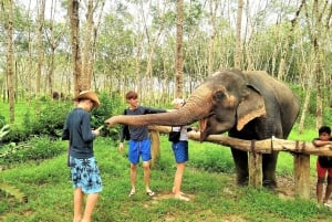 Phuket: Excursão de conservação de elefantes e tartarugas marinhas com rafting