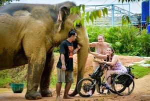 Depuis Phuket : Randonnée interactive et circuit éthique à dos d'éléphant