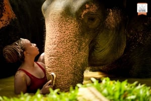 Von Phuket aus: Ethischer Elefanten-Trek und interaktive Tour