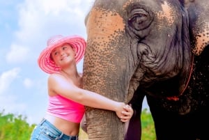 Von Phuket aus: Ethischer Elefanten-Trek und interaktive Tour