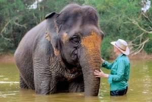 Von Phuket aus: Ethischer Elefanten-Trek und interaktive Tour