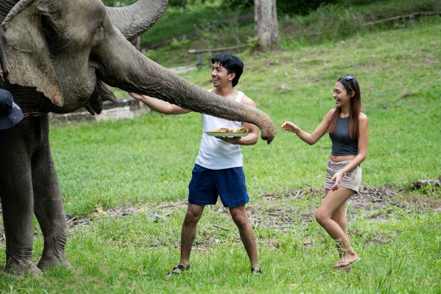 From Phuket: Ethical Elephant Sanctuary Tour in Phang Nga in Phuket