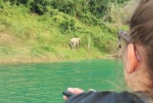 푸켓 출발: 푸타완에서의 점심 식사와 함께 초우란 호수 탐험