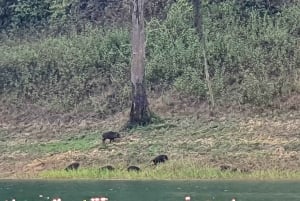 푸켓 출발: 푸타완에서의 점심 식사와 함께 초우란 호수 탐험