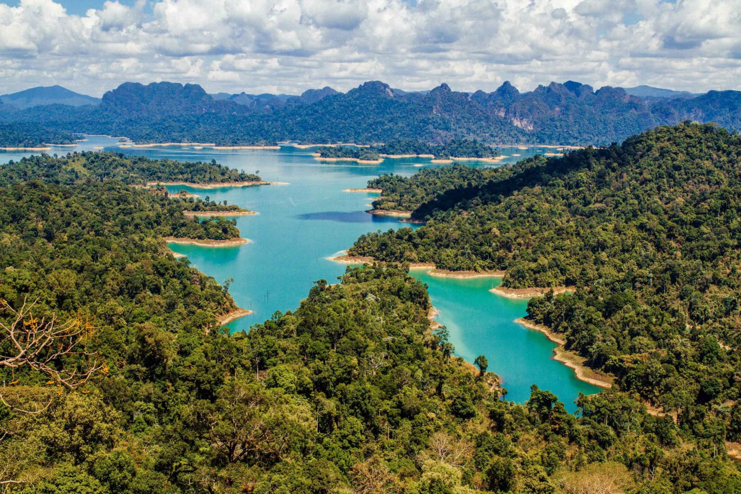 From Phuket: Full-Day Private Tour to Khao Sok Highlights