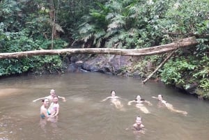 Från Phuket: Guidad regnskogsvandring med lunch