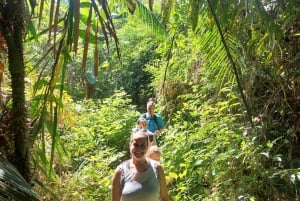 Au départ de Phuket : Randonnée guidée dans la forêt tropicale avec déjeuner