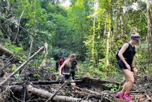 Desde Phuket: Excursión guiada por la selva tropical con almuerzo