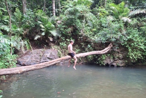 Desde Phuket: Excursión guiada por la selva tropical con almuerzo