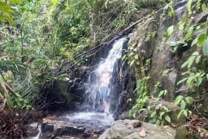 Desde Phuket: Excursión guiada por la selva tropical con almuerzo