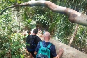 Desde Phuket: Excursión guiada por la selva tropical con almuerzo