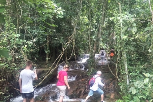 From Phuket: Half-Day Jungle Hike with Hotel Pickup