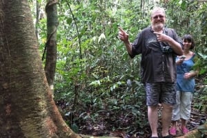 From Phuket: Half-Day Jungle Hike with Hotel Pickup