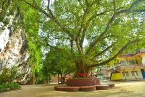Z Phuket: wycieczka Longtail po Jamesie Bondzie i zatoce Phang Nga