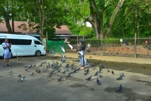 Z Phuket: wycieczka Longtail po Jamesie Bondzie i zatoce Phang Nga