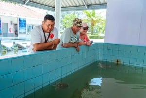 From Phuket: Khao Lak ATV, Zipline, Rafting & Wildlife Tour