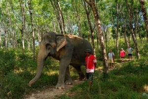 From Phuket: Khao Lak ATV, Zipline, Rafting & Wildlife Tour