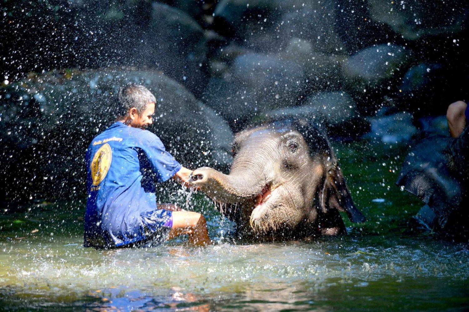 From Phuket & Khao Lak: Elephant Care with Waterfall Visit