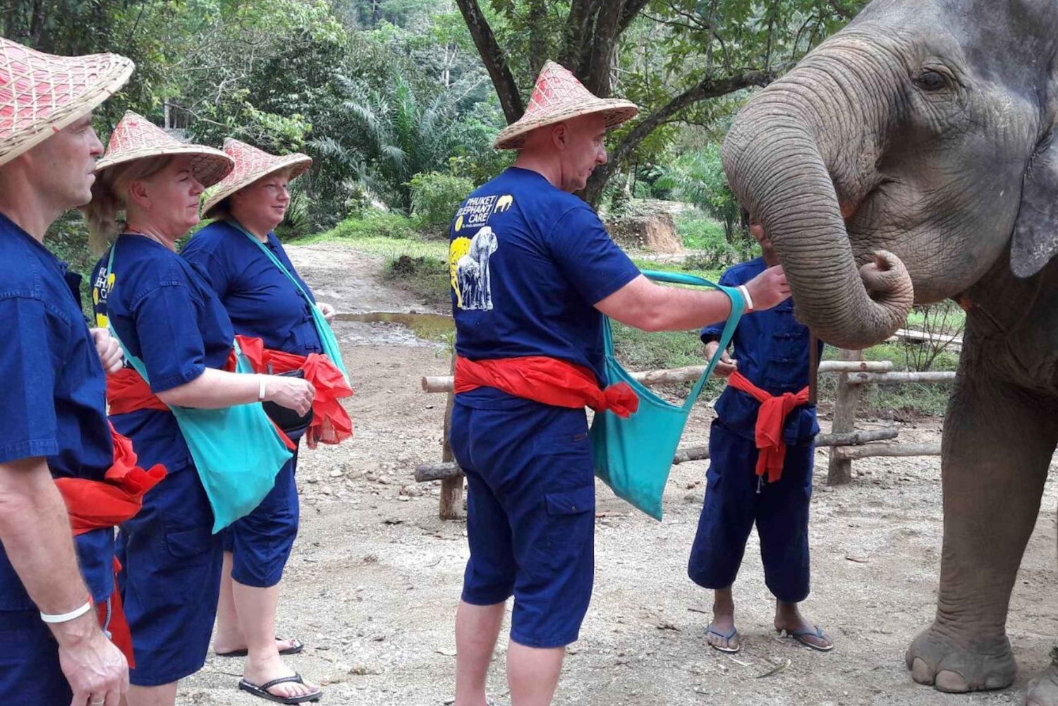 From Phuket & Khao Lak: Elephant Care with Waterfall Visit