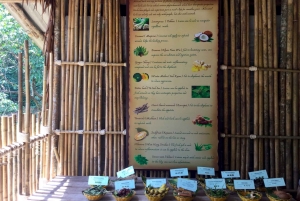 From Phuket & Khao Lak: Elephant Care with Waterfall Visit