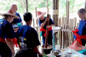 From Phuket & Khao Lak: Elephant Care with Waterfall Visit