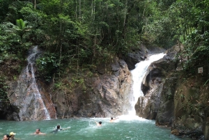 From Phuket & Khao Lak: Elephant Care with Waterfall Visit