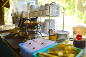 From Phuket & Khao Lak: Elephant Care with Waterfall Visit