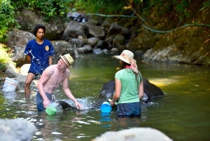 From Phuket & Khao Lak: Elephant Care with Waterfall Visit