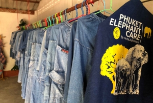 From Phuket & Khao Lak: Elephant Care with Waterfall Visit