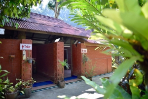 From Phuket & Khao Lak: Elephant Care with Waterfall Visit