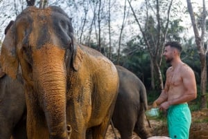 De Phuket: Excursão de dia inteiro ao santuário de elefantes de Khao Lak