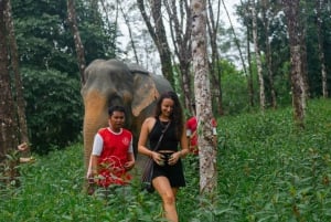Von Phuket aus: Khao Lak Elefanten-Schutzgebiet Ganztagestour