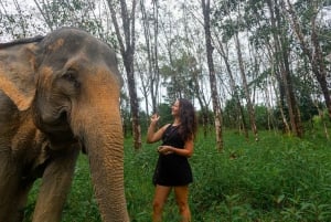 Из Пхукета: тур на целый день в слоновий заповедник Као Лак